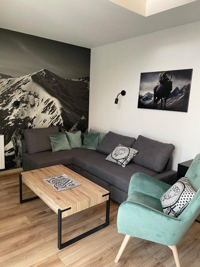Czarny Baran Apartment Zakopane Exterior photo